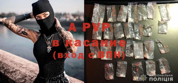 стафф Абаза