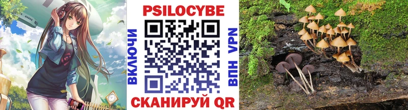 закладки Соликамск Галлюциногенные грибы мицелий